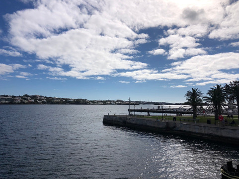 Sea Express Ferry Service-汉密尔顿必去景点