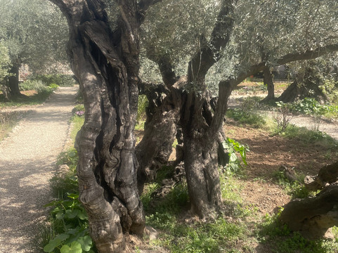 Pilgrim Tours-Morgantown必去景点