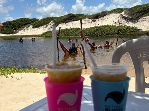 Netinho Buggy e Turismo-Genipabu必去景点