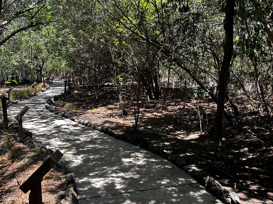 Zoo Parc De La Réunion-Etang Sale Les Bains必去景点