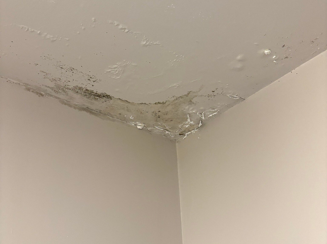 安塔尔温泉酒店主图