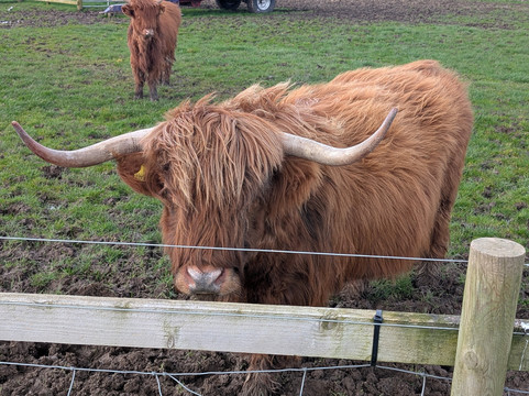 Bluebell Dairy Farm-德比必去景点