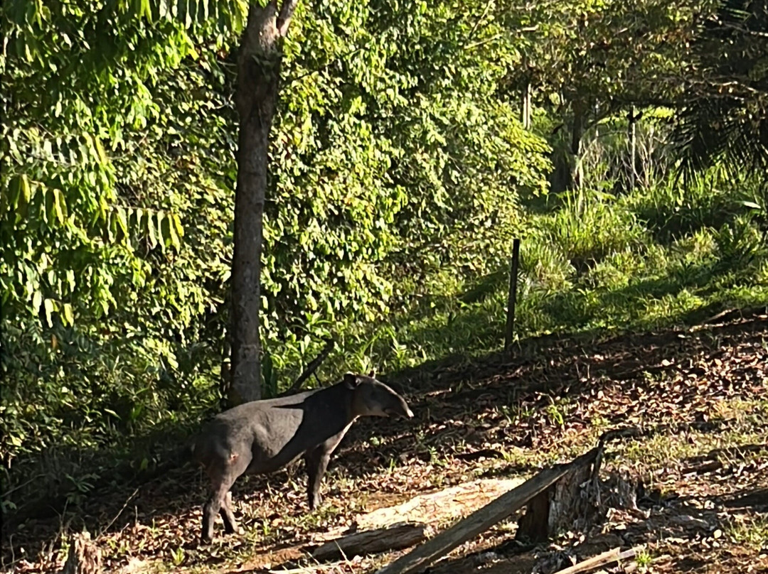 Sukia Travel-德雷克湾必去景点
