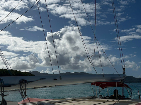 Wadadli Cats-安提瓜必去景点