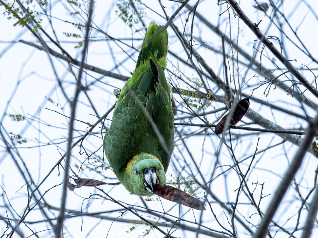 Life Time Travel-萨迪纳尔必去景点
