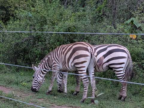 东非大裂谷高尔夫度假村小屋主图