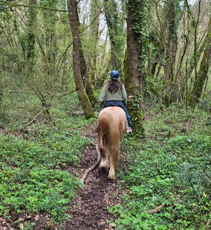Sulla Collina di Castelnuovo di Farfa-Castelnuovo di Farfa必去景点