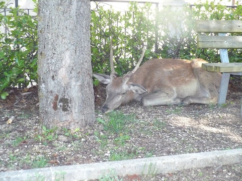Borgo di Villalago-Villalago必去景点
