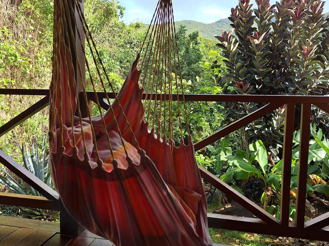 Domaine du Piton Bellevue主图