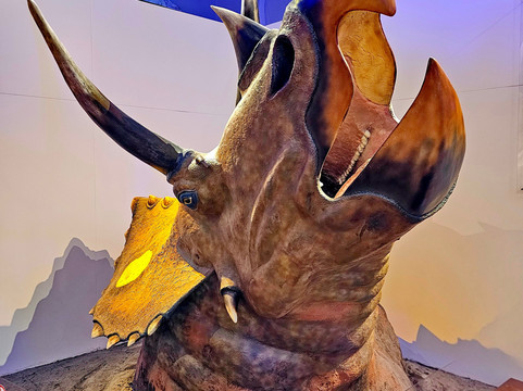 自然历史博物馆-赫尔辛基必去景点