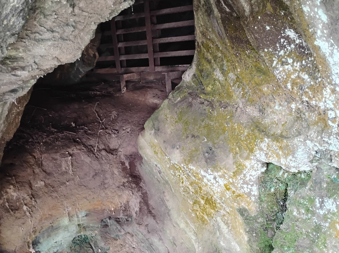 Ijams Nature Center-诺克斯维尔必去景点