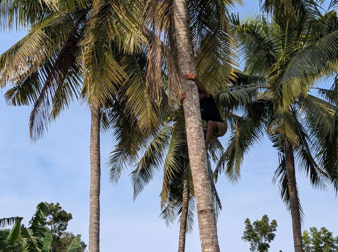 Monkey Cave Lombok-Pujut必去景点