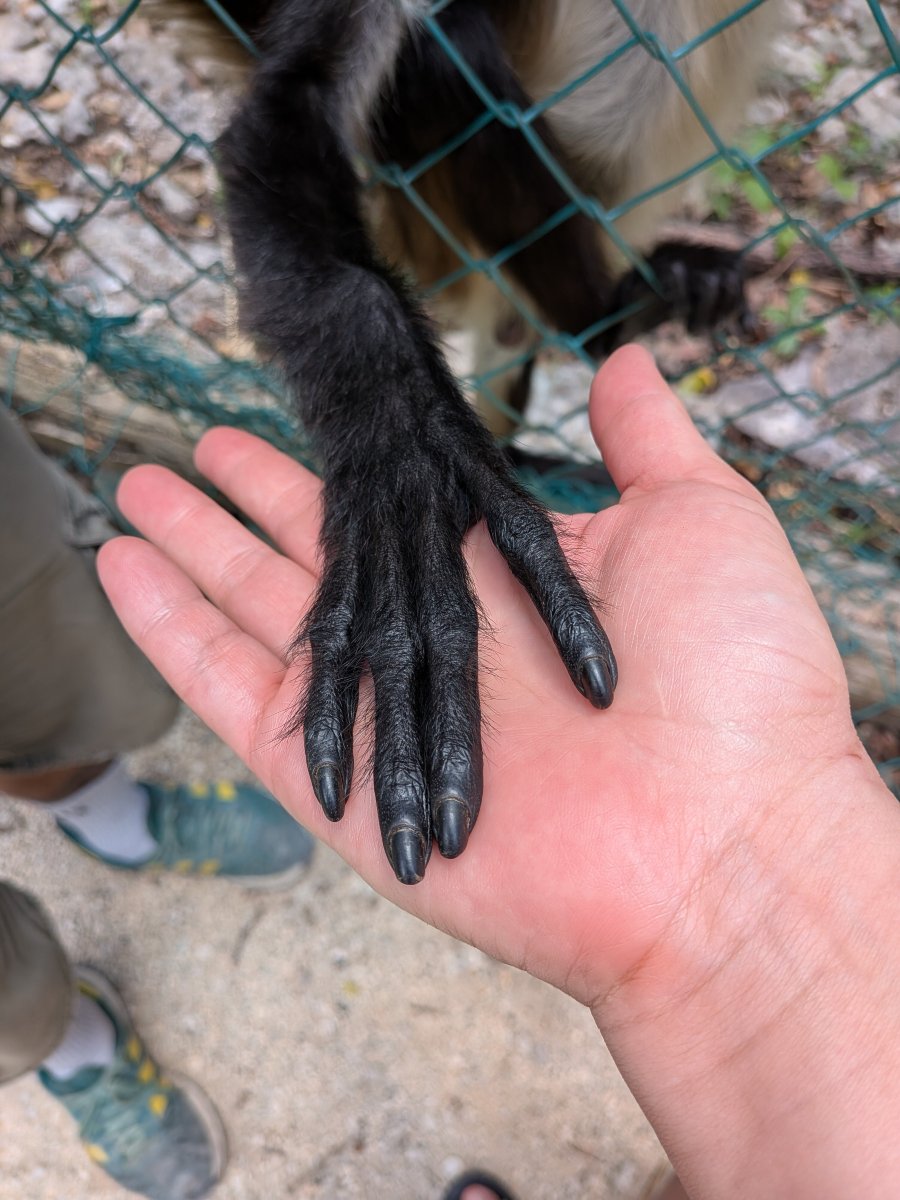 阿库玛尔自然酒店-官方