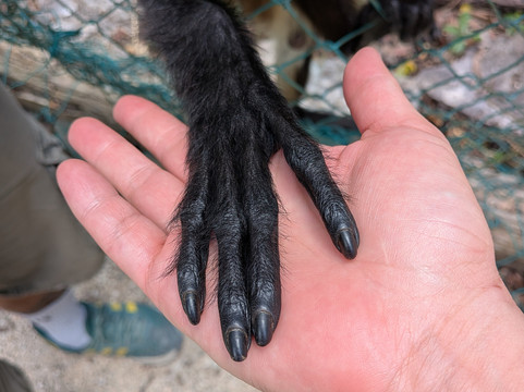 阿库玛尔自然酒店主图