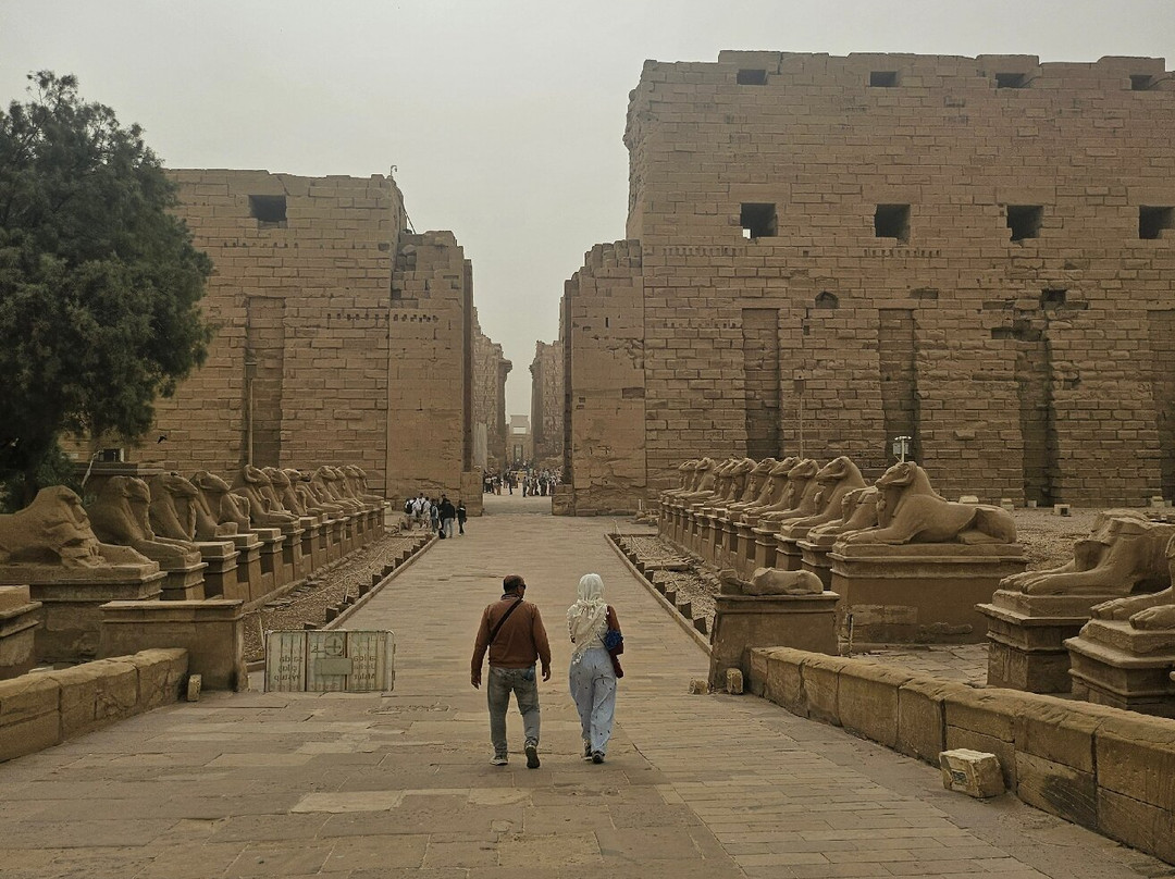 Dolphin House Aqua Center-赫尔格达必去景点
