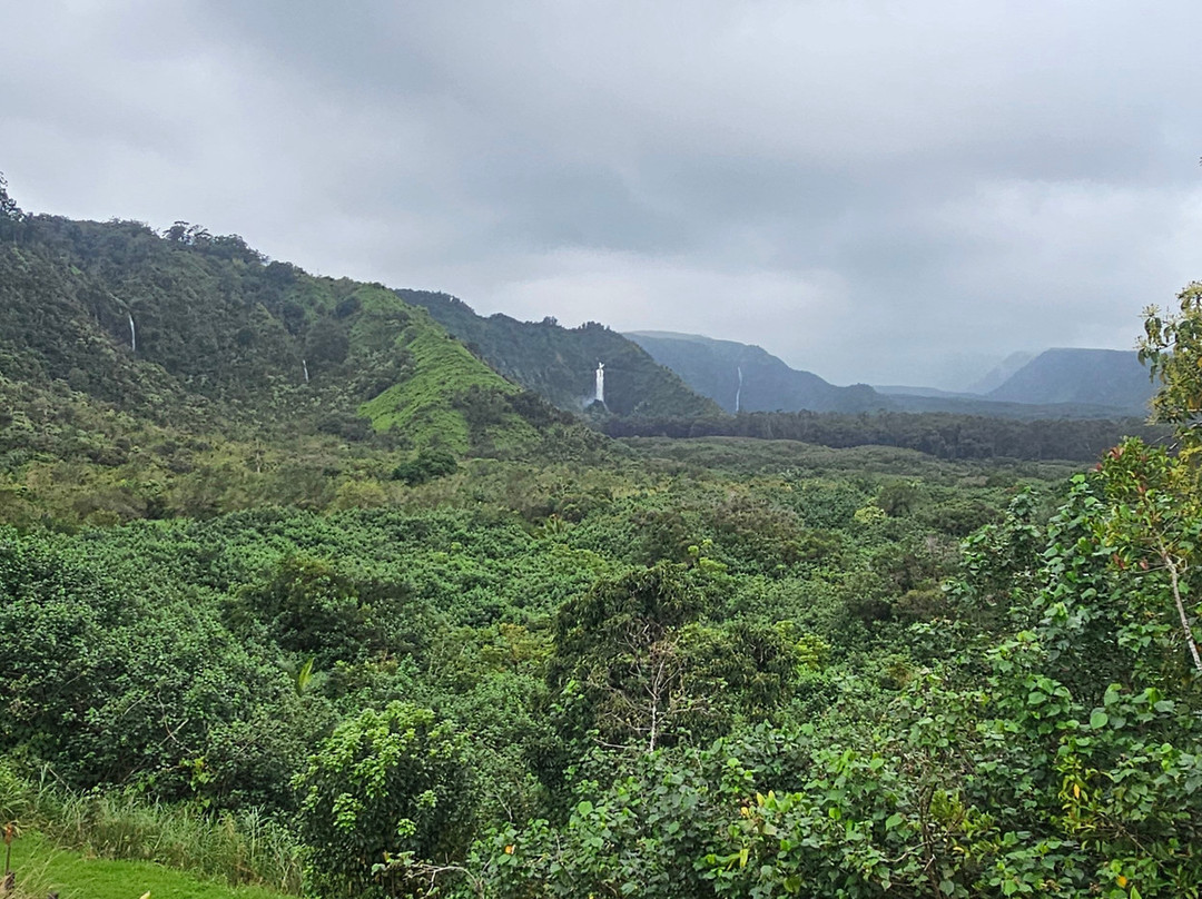 Wailua Valley State Wayside Park-库拉必去景点