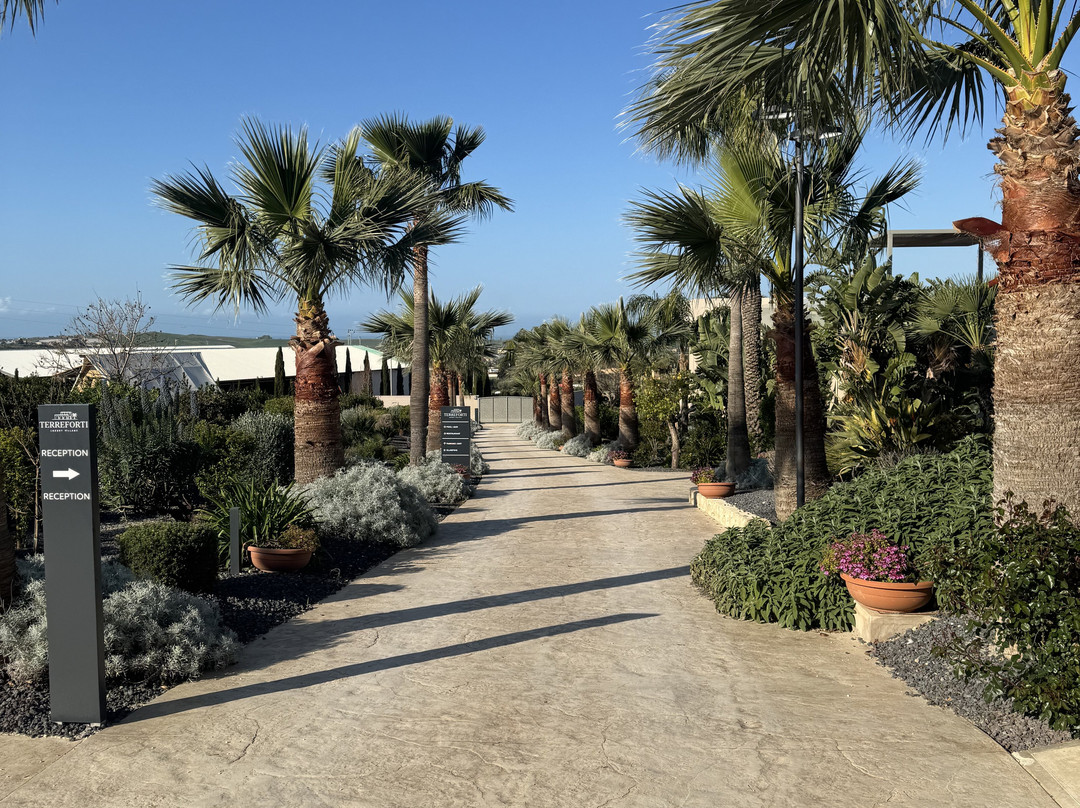 Terreforti豪华村庄主图