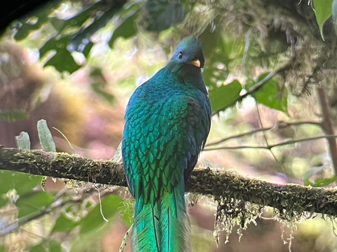 Pacific Trade Winds-Nuevo Arenal必去景点
