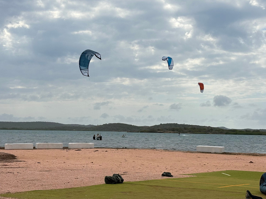 Nix Kiteboarding School Curacao-威廉斯塔德必去景点