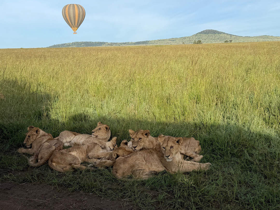 Tanzania-Experience-阿鲁沙必去景点