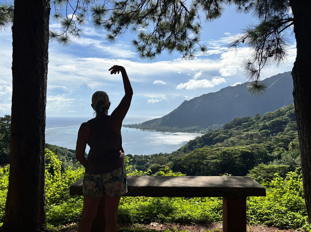 Magic Mountain Overlook-莫雷阿岛必去景点