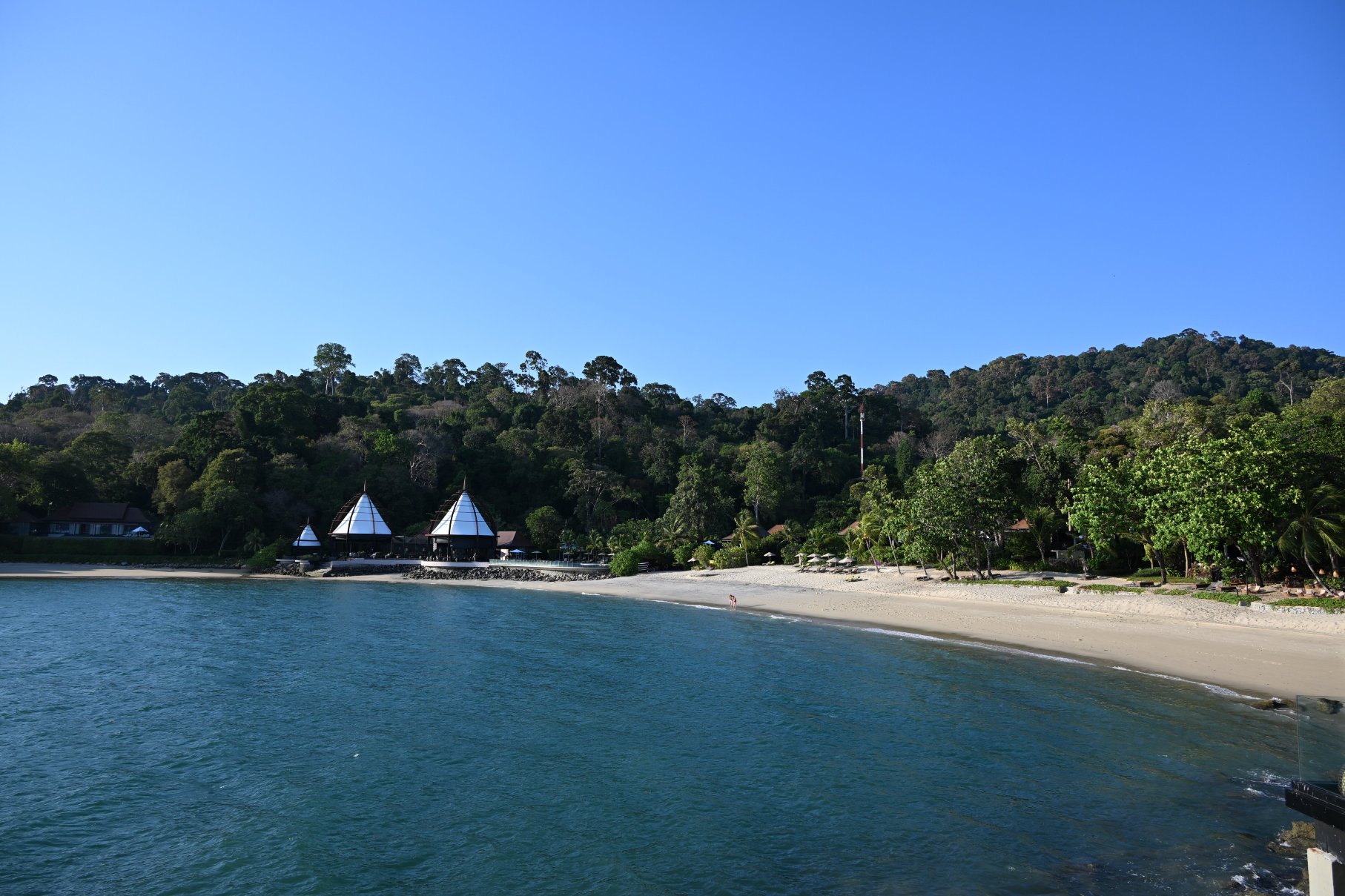 兰卡威丽思卡尔顿酒店-泳池