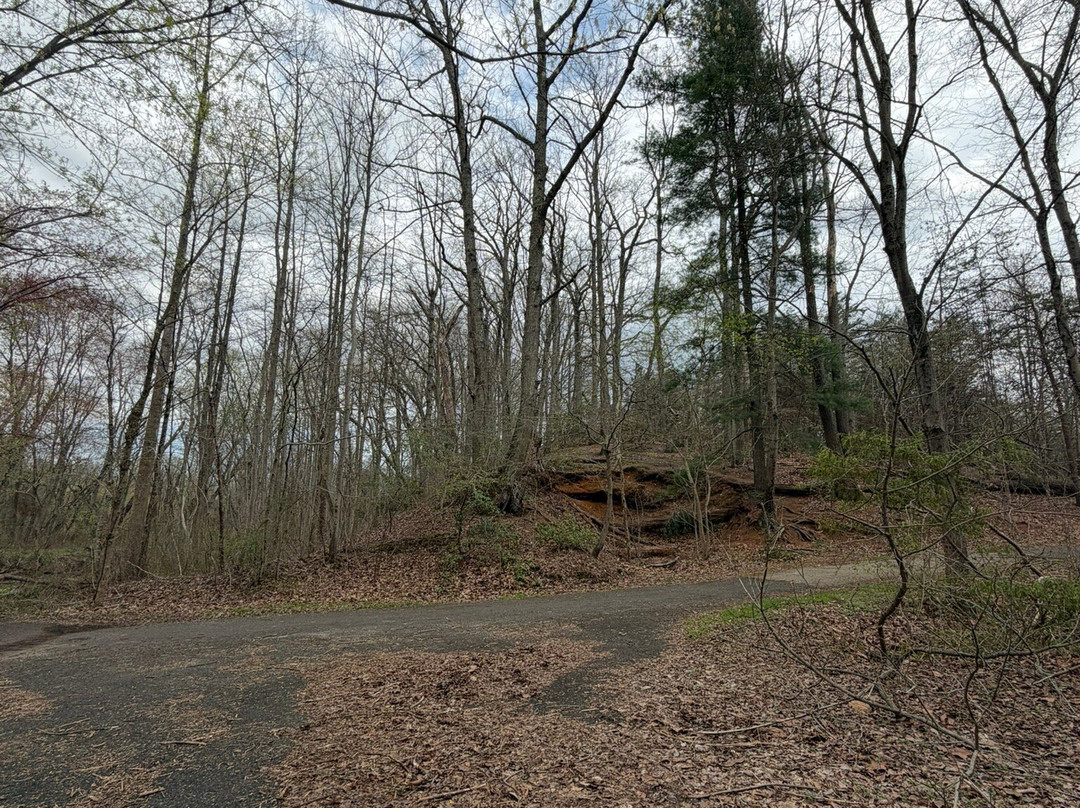 Tall Pines State Preserve-Sewell必去景点