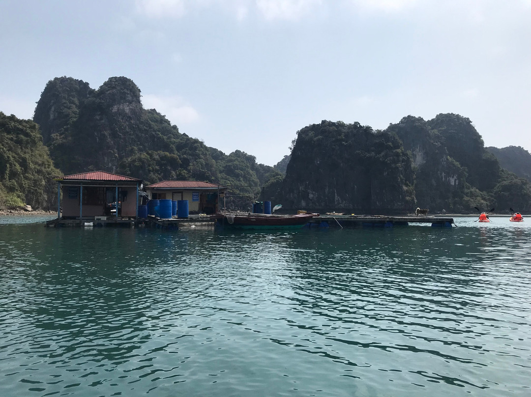 Cua Van Floating Village-下龙湾必去景点