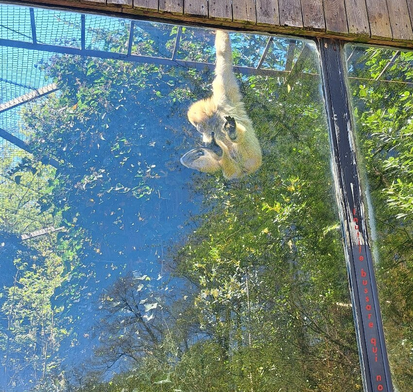 Parco Faunistico La Torbiera-Agrate Conturbia必去景点