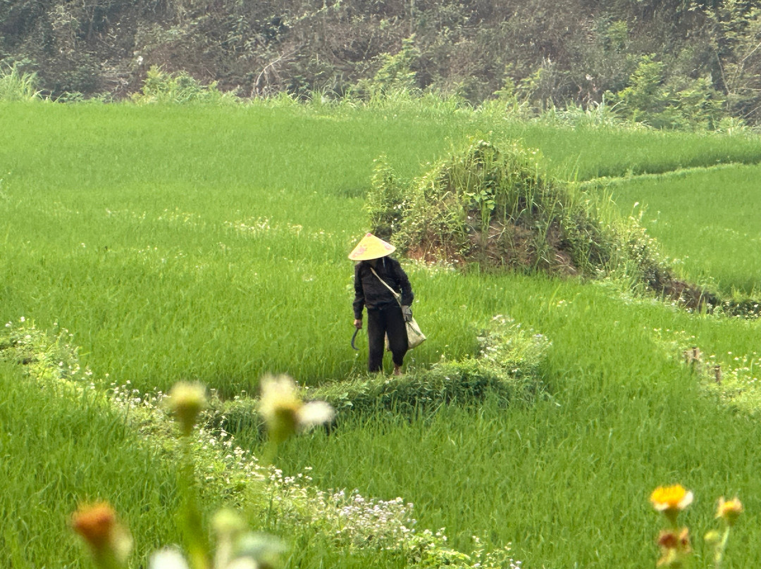 迈乔温泉度假村主图