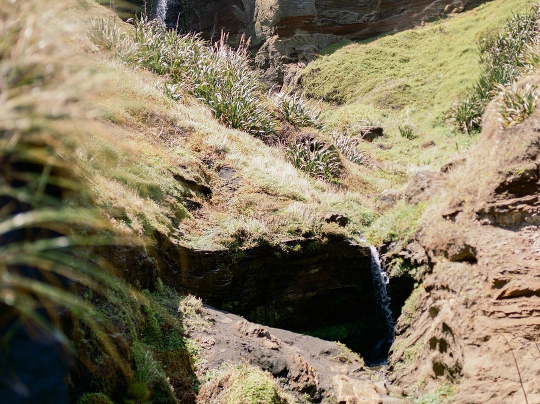 Kariotahi Beach-Waiuku必去景点