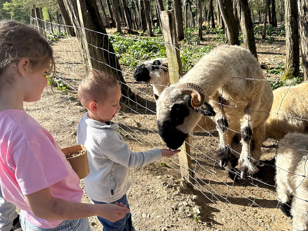 La Ferme Du Facteur Enchantée-Hauterives必去景点