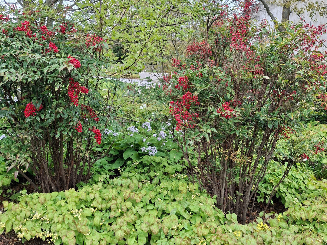 The Hepworth Wakefield-韦克菲尔德必去景点