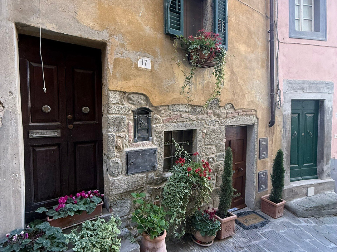 Hill Town Tours-科尔托纳必去景点