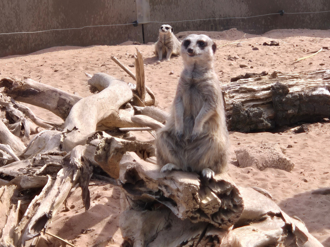 Yorkshire Wildlife Park-Auckley必去景点