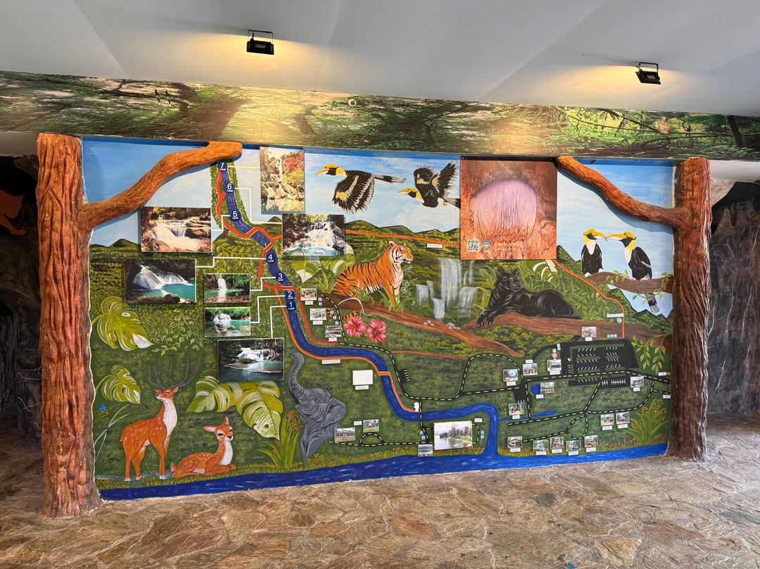 爱侣湾瀑布-爱侣湾国家公园必去景点