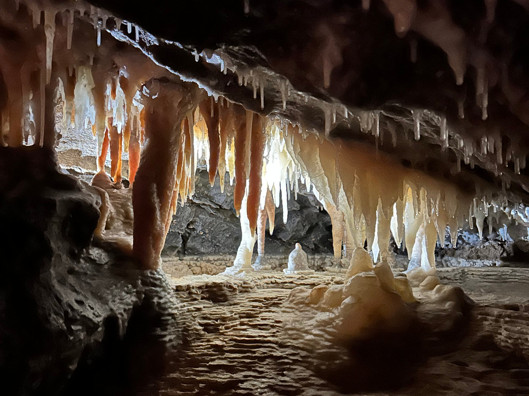 Buchan Caves Reserve-Buchan必去景点