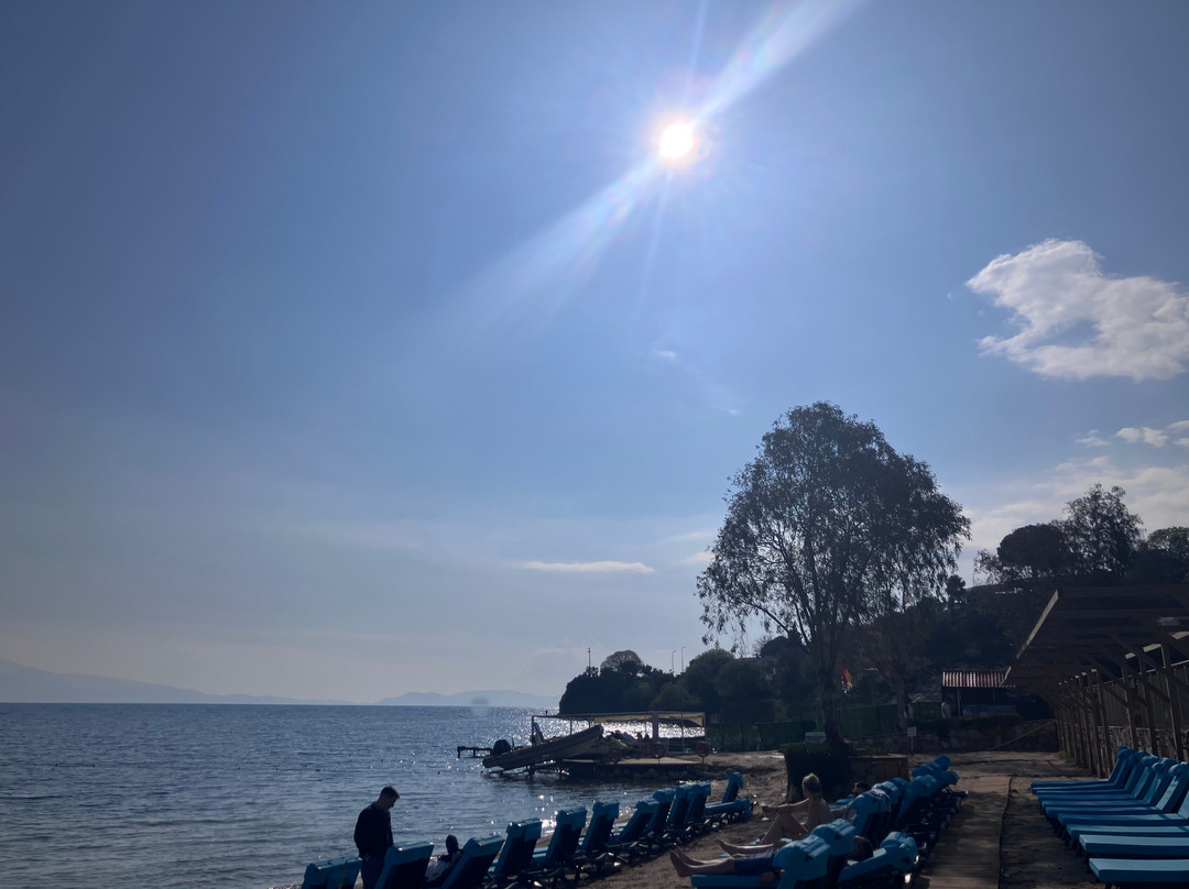 自由酒店库沙达斯 - 全包主图