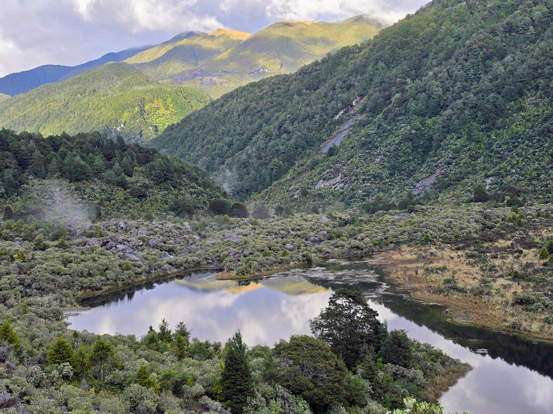 The Old Ghost Road-韦斯特波特必去景点