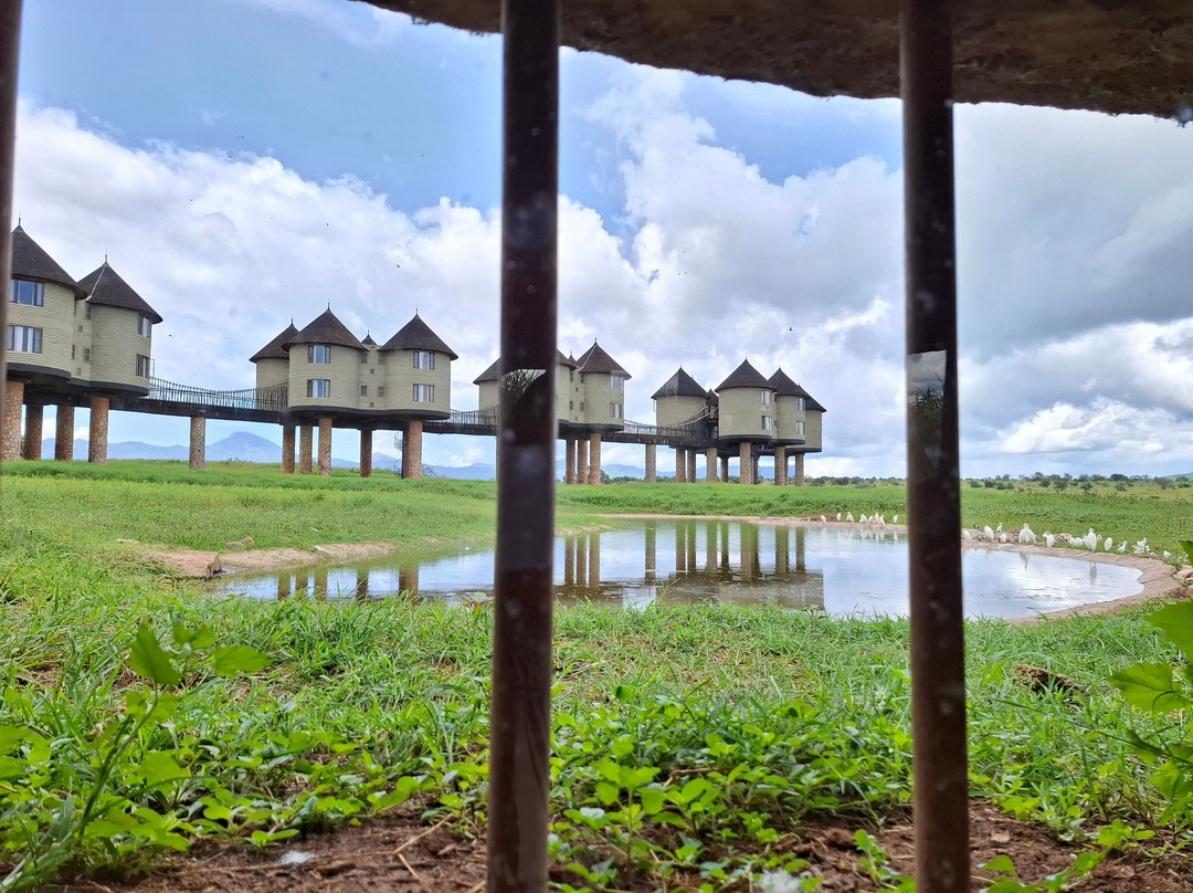 萨尔特利克野生动物园小屋主图
