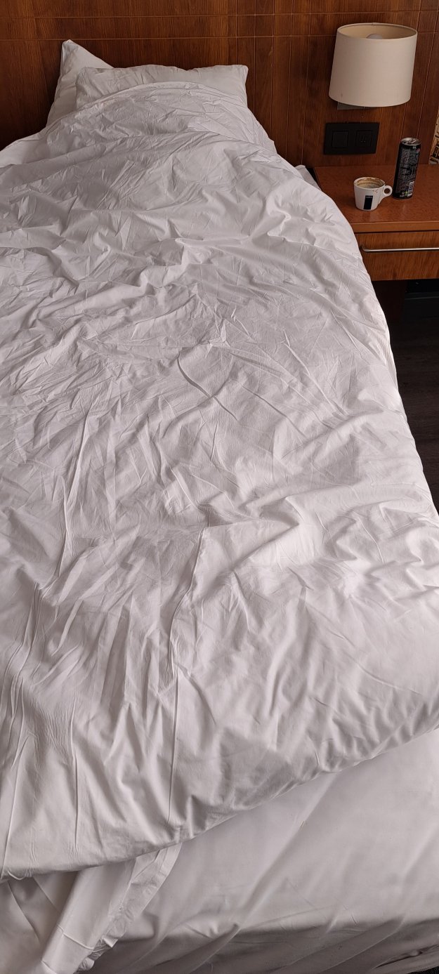 安特卫普皇冠假日酒店-旅行者