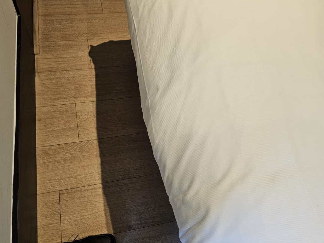 鹿特丹詹姆斯酒店主图