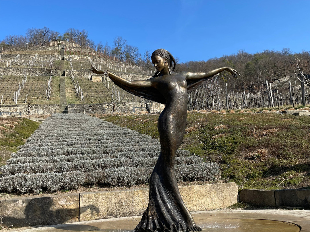 Weingut Zimmerlin-Boetzingen必去景点