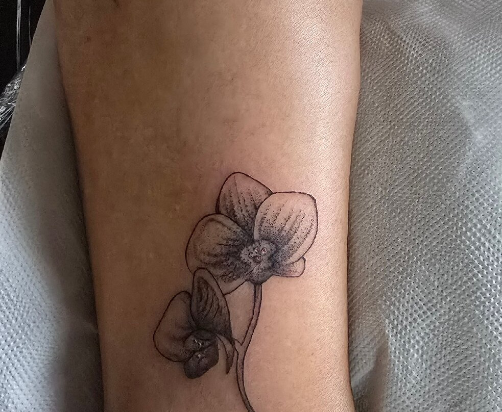 Monkey Tattoo Cr-克波斯必去景点