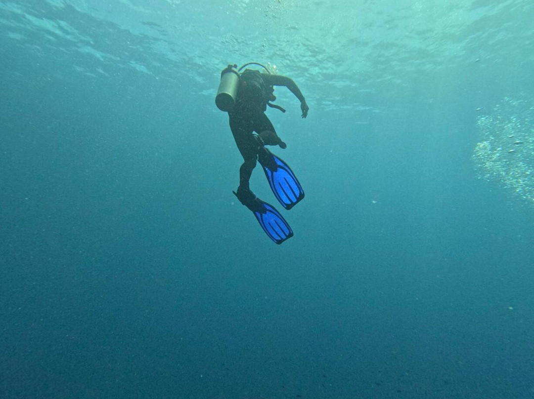 Bali Hai Diving Adventures-蓝梦岛必去景点