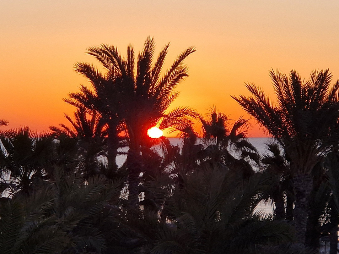 吉尔巴岛棕榈海滩俱乐部主图