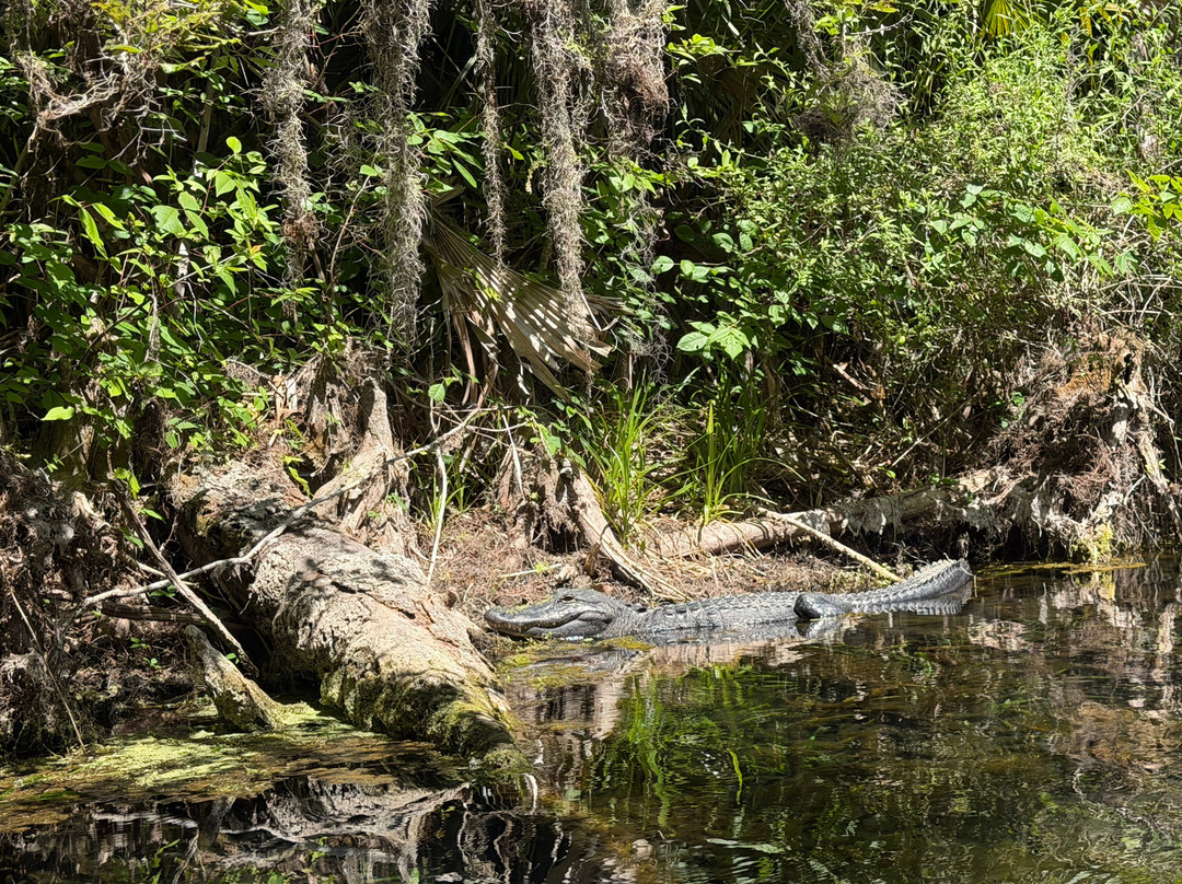 Kayaking Silver Springs-Silver Springs必去景点