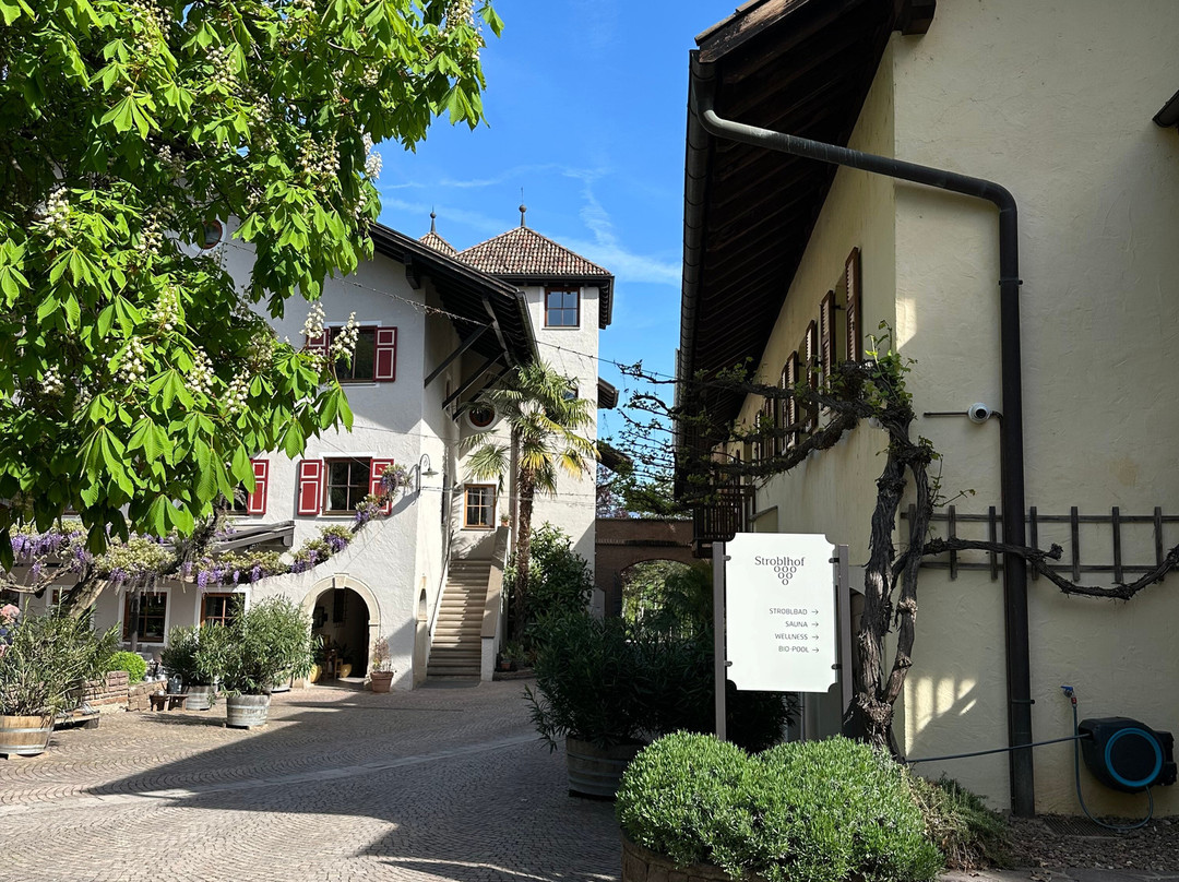 Hotel Weingut Stroblhof主图