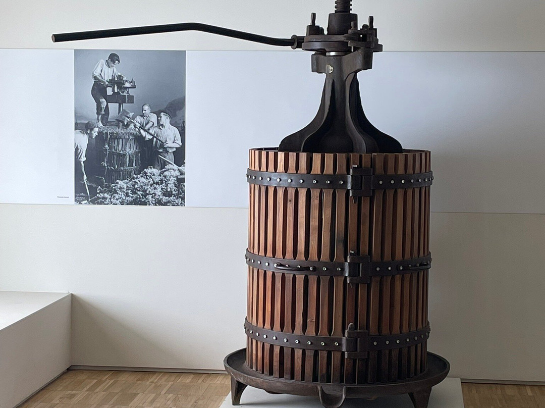 Museo de las Ciencias del Vino-Almendralejo必去景点