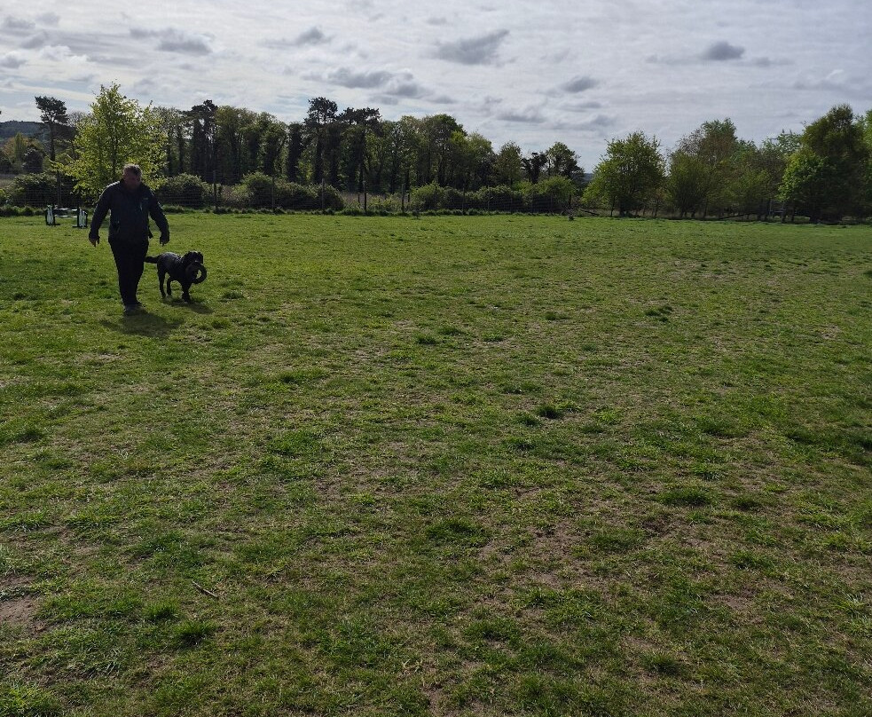 Seaview Dog Meadow-Wiveton必去景点